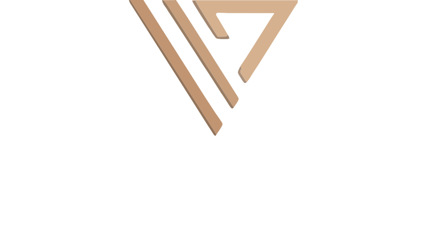 Vanora İnşaat Logosu